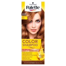 Palette Color Shampoo Szampon koloryzujący nr 317 Orzechowy Blond 1op.