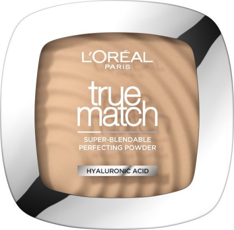 L'OREAL Puder TRUE MATCH w kompakcie 2N&